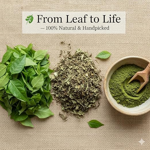 All Love Green Henna Powder for Natural Hair Colour, Conditioning, Root Strengthening, Hand Art, Organic Henna Powder